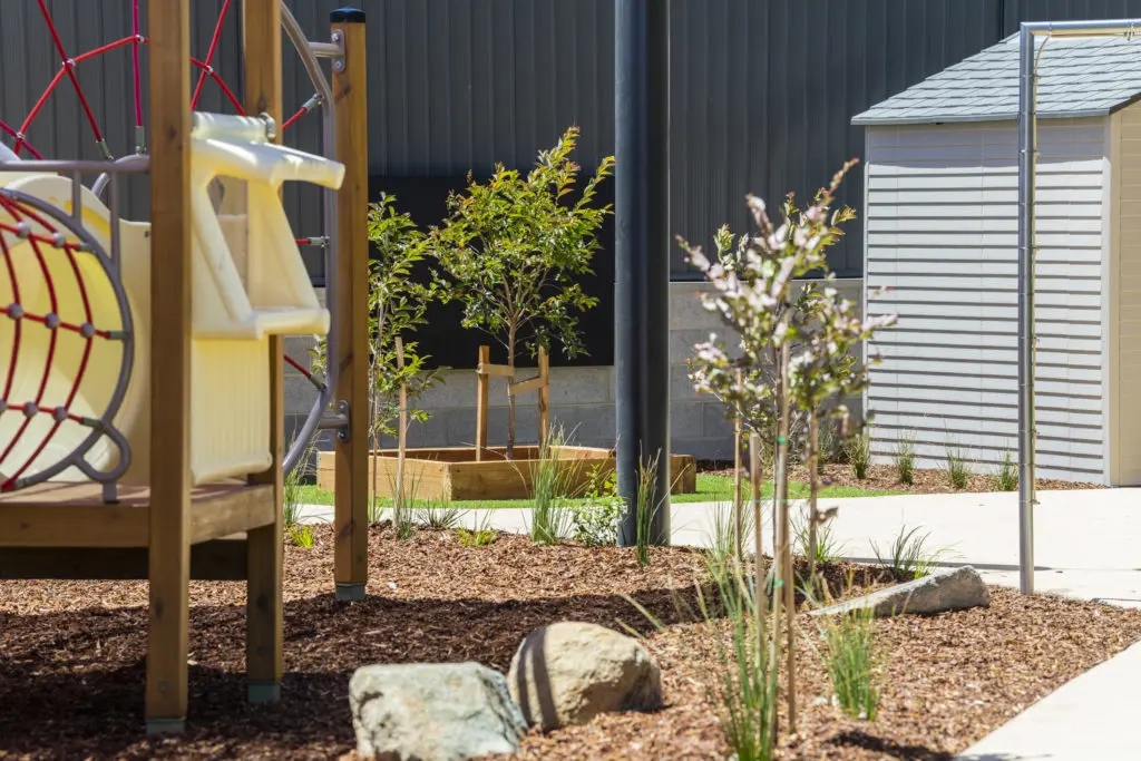 WonderSchool Throsby WonderSchool Throsby